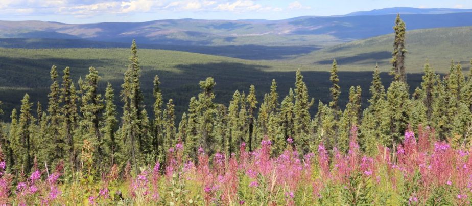 The Alaska Lens – A Vision&nbsp;Statement