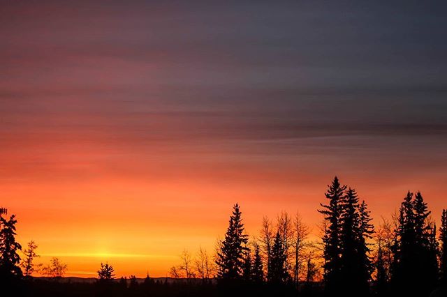 Up early for shooting #bodiesofwaterfilm and caught this beautiful sunrise ☀ #alaska #sky #sunrise
