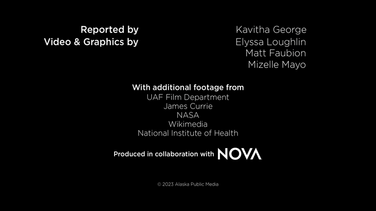 Credits of the Arctic Ground Squirrel video project produced by NOVA by Kavitha George. 